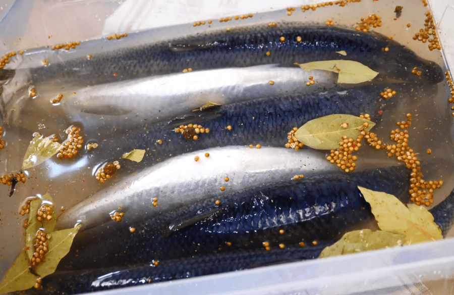 Рецепт малосольной сельди в домашних условиях