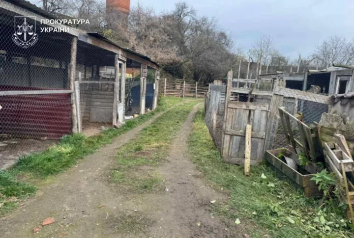 Шокирующие условия в «реабилитационном центре» Хмельницкого: львицы сбежали, погибли животные 10 img 20251115 204422 709 1024x690 1 e1763311596221